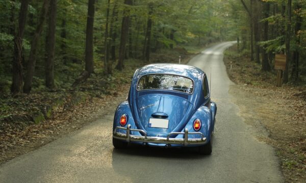blue Volkswagen driving in forest