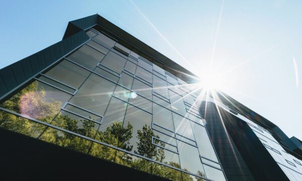 building exterior windows reflecting trees and sun