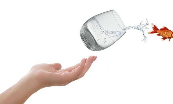 Photo of a glass of water leaving a hand and spilling; and a goldfish leaping out with the water