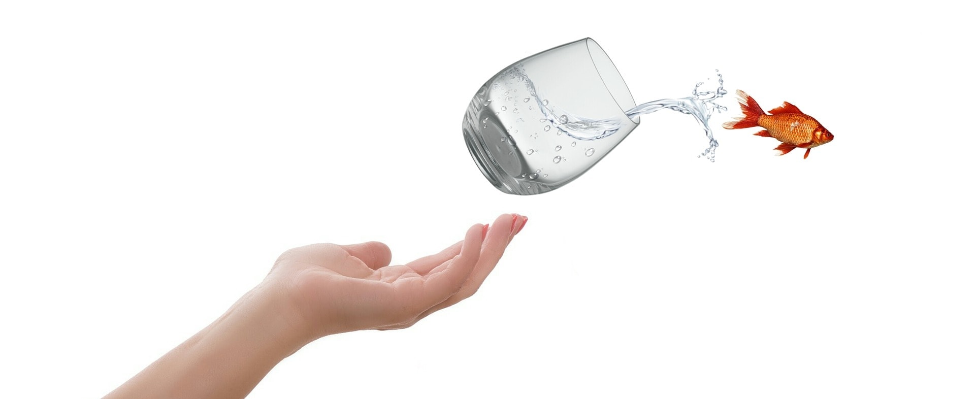 Photo of a glass of water leaving a hand and spilling; and a goldfish leaping out with the water