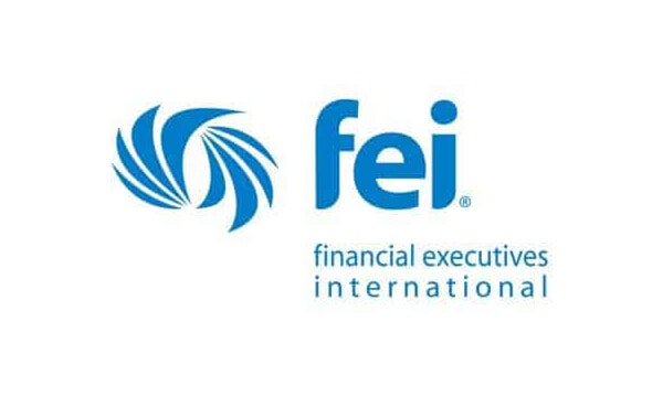 FEI logo